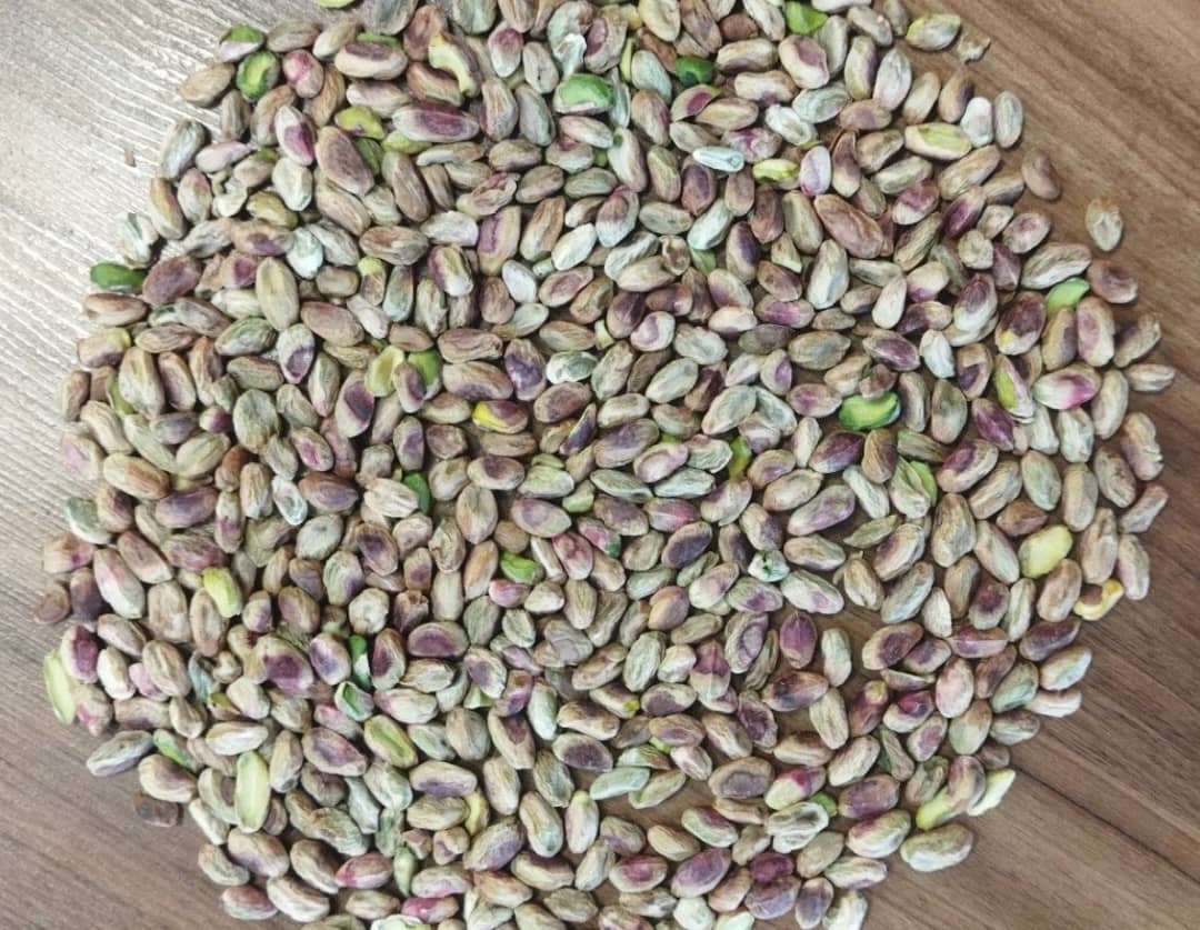 کارخانه پسته Zagruse | صادرات مغز پسته و پودر پسته به سراسر جهان